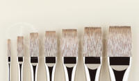 rosemary travel brush set