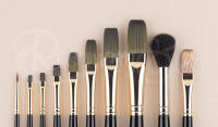 rosemary travel brush set