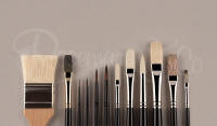 KYLE MA BRUSH SET